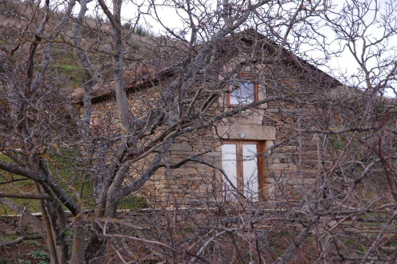 Quinta da Alagoa Villa Santa Maria de Émeres Esterno foto