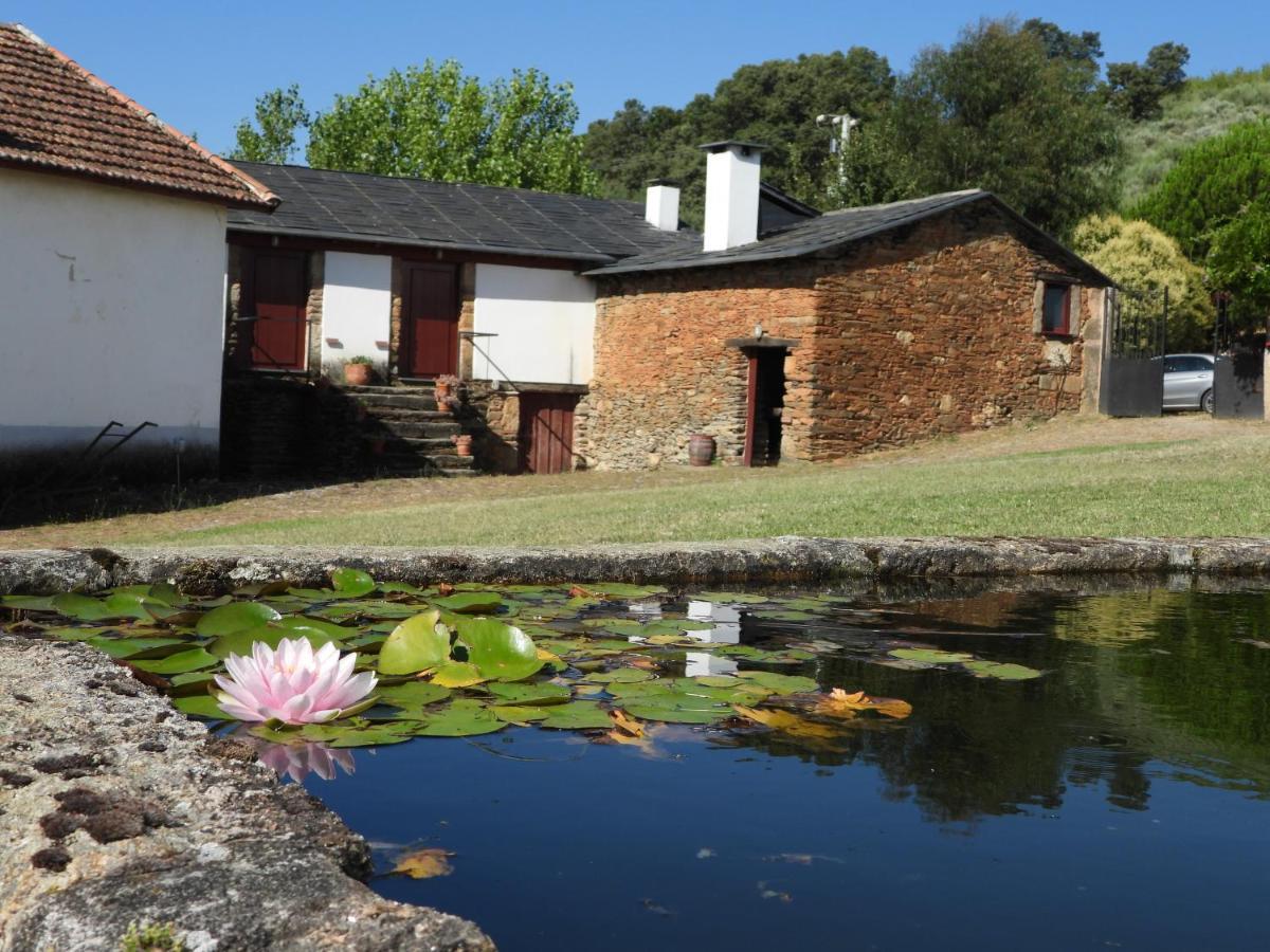Quinta da Alagoa Villa Santa Maria de Émeres Esterno foto