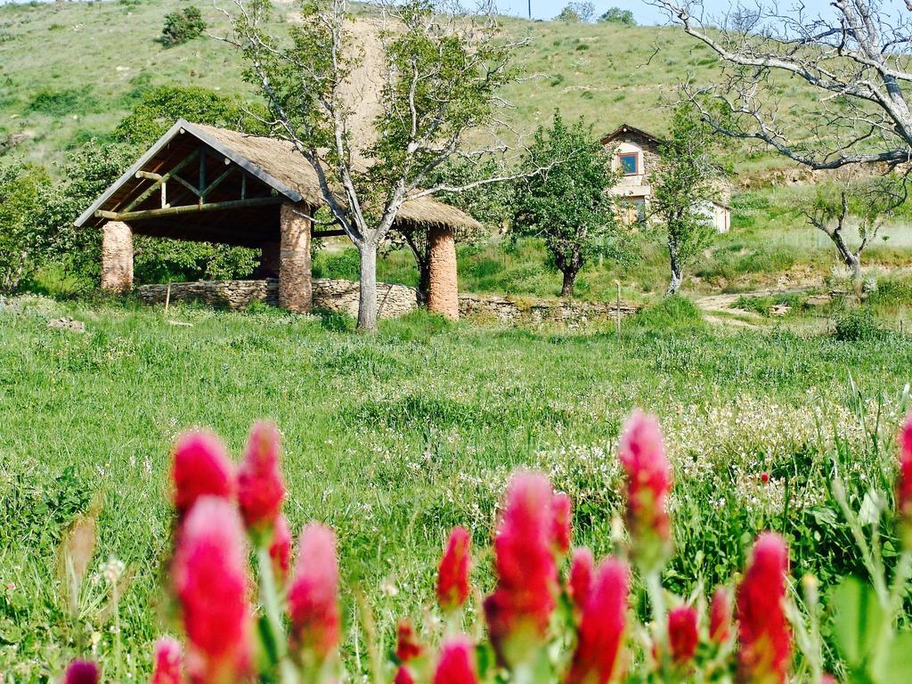 Quinta da Alagoa Villa Santa Maria de Émeres Esterno foto