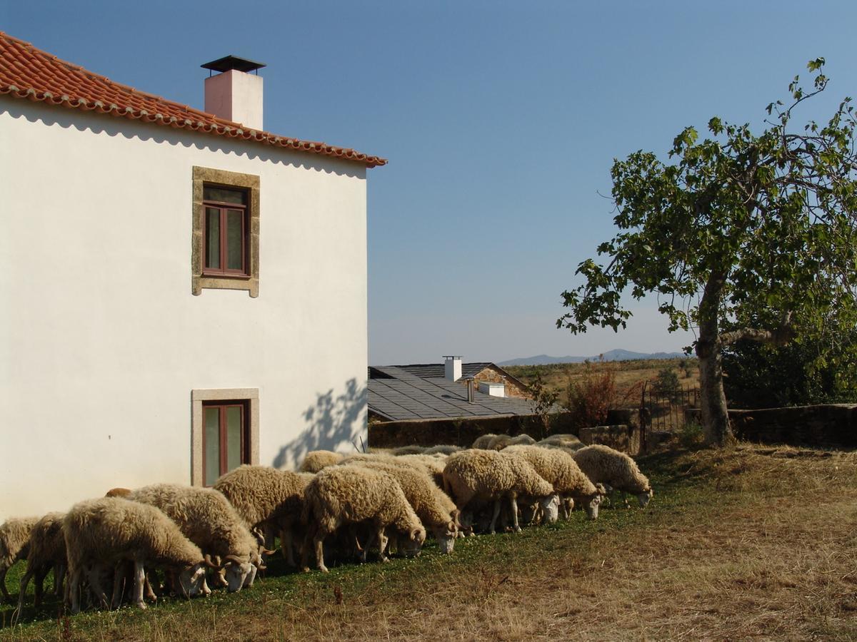 Quinta da Alagoa Villa Santa Maria de Émeres Esterno foto