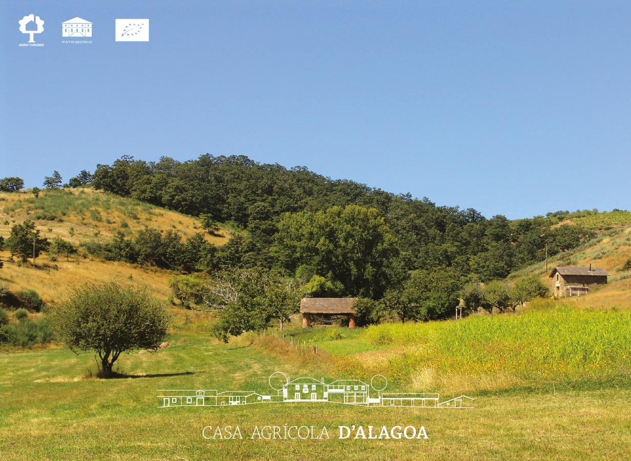 Quinta da Alagoa Villa Santa Maria de Émeres Esterno foto