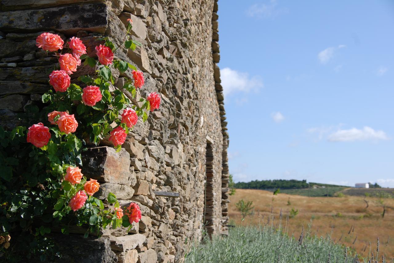Quinta da Alagoa Villa Santa Maria de Émeres Esterno foto