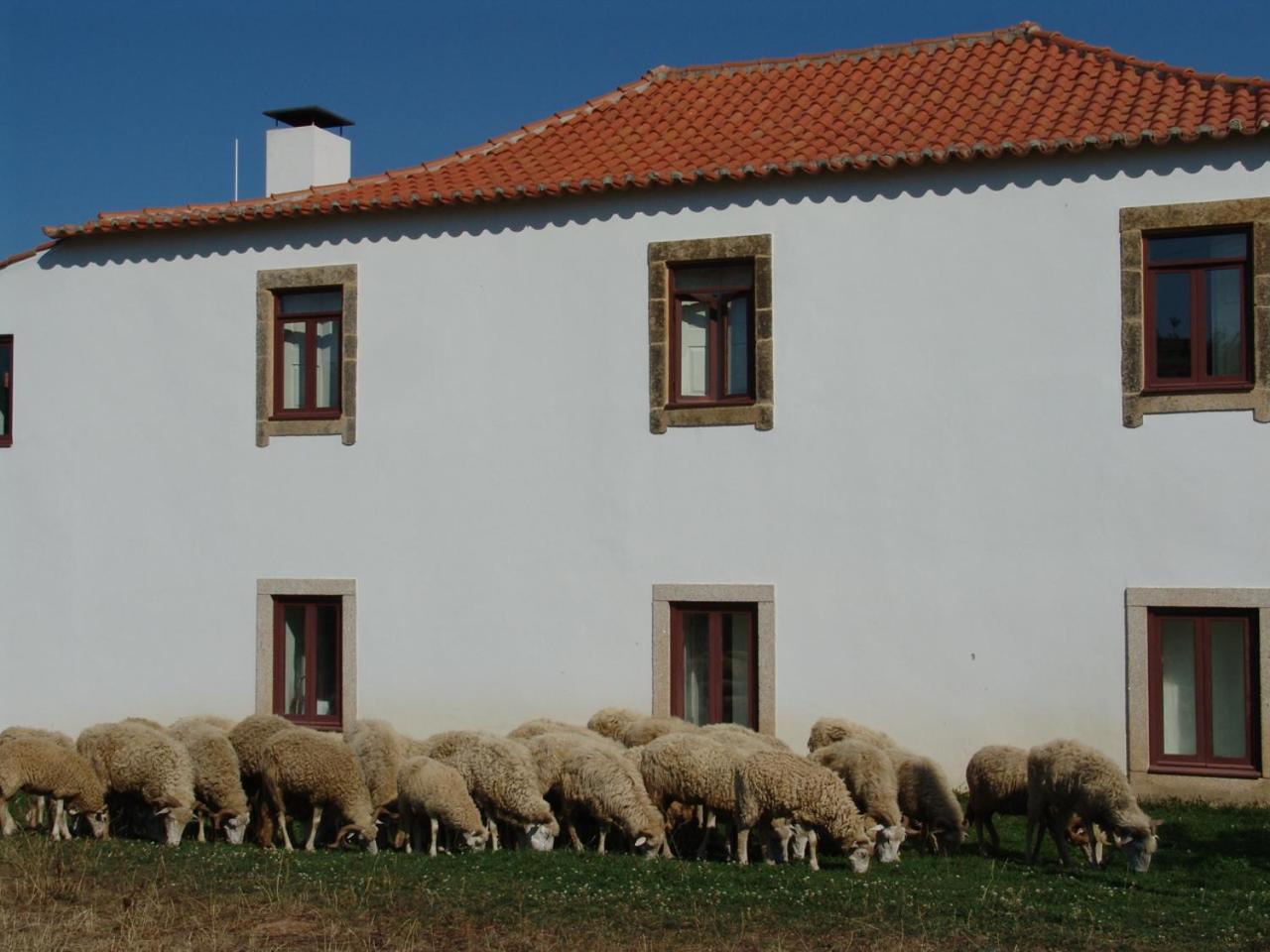 Quinta da Alagoa Villa Santa Maria de Émeres Esterno foto